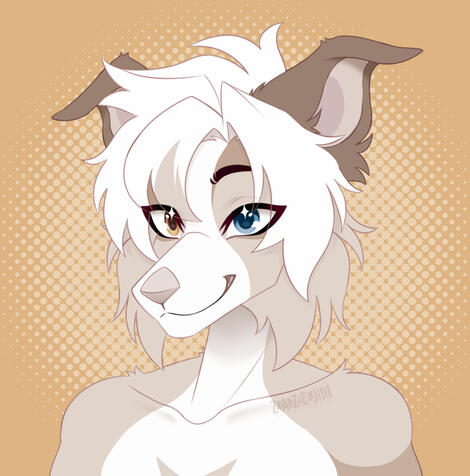 Example of a flat bust illustration of an anthropomorphic dog character on a simple background
